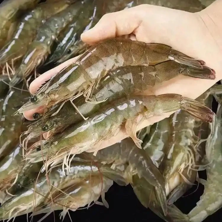 新鲜鲜活基围虾（2斤）