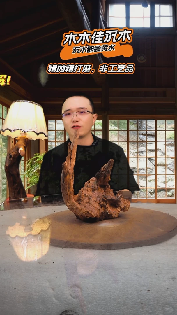 晓*.木木佳沉木鱼缸造景-073