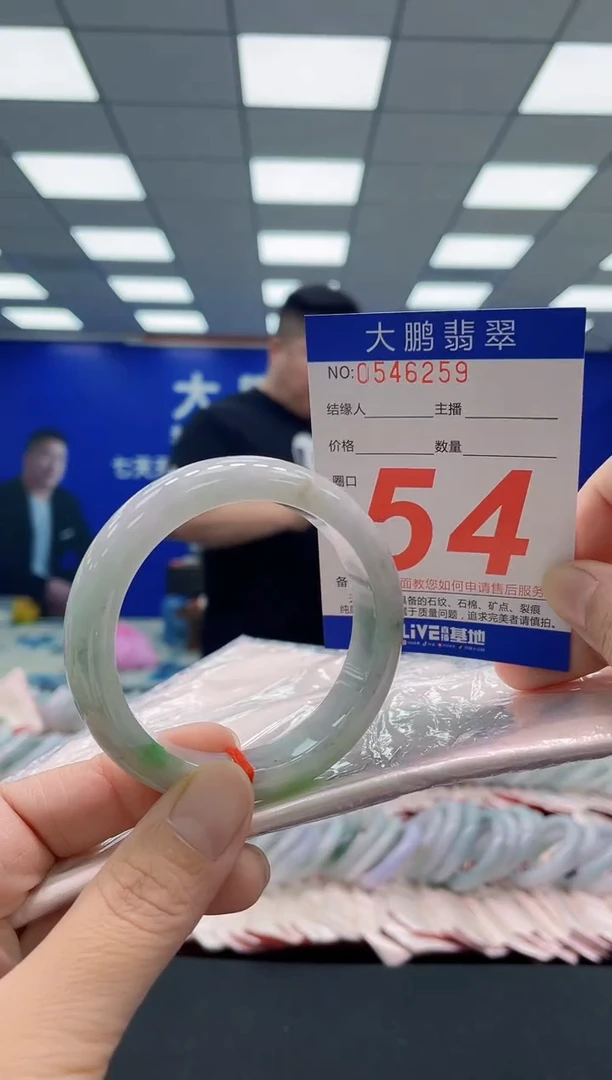 未镶嵌手镯翡翠AAAAAAAAA
