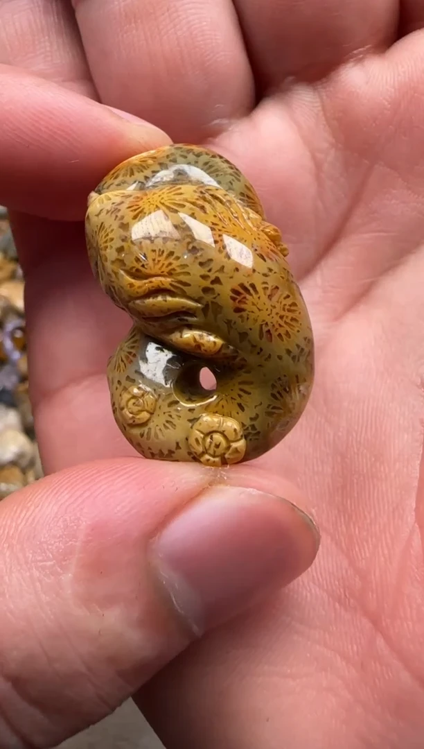 【闪购商品】硅化珊瑚（珊瑚玉）颈饰未镶嵌555