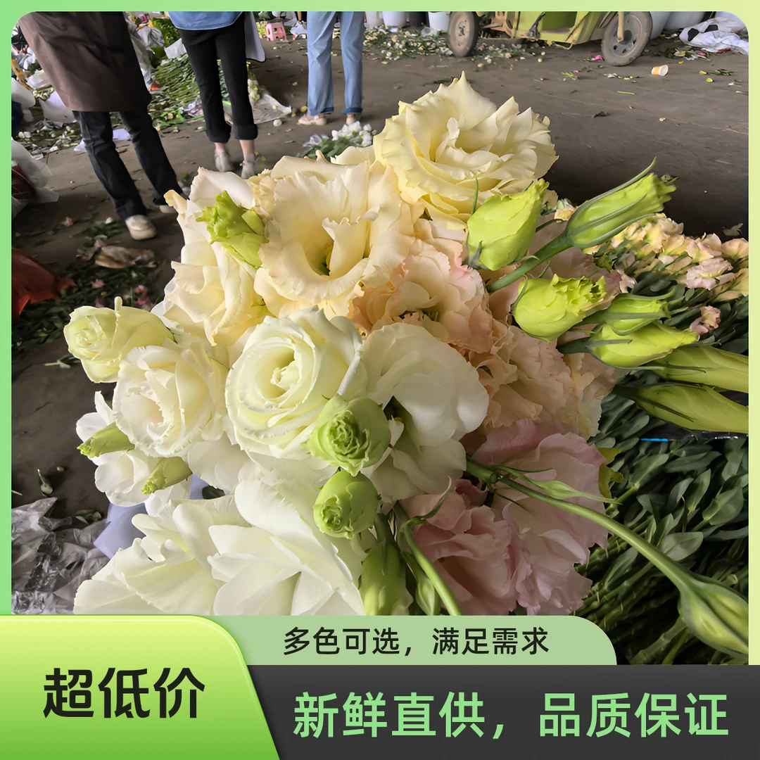 云南直发混色洋桔梗新鲜花材适合办公室水养插花