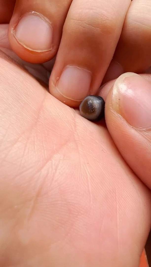 【肖钟出品】东南亚配珠