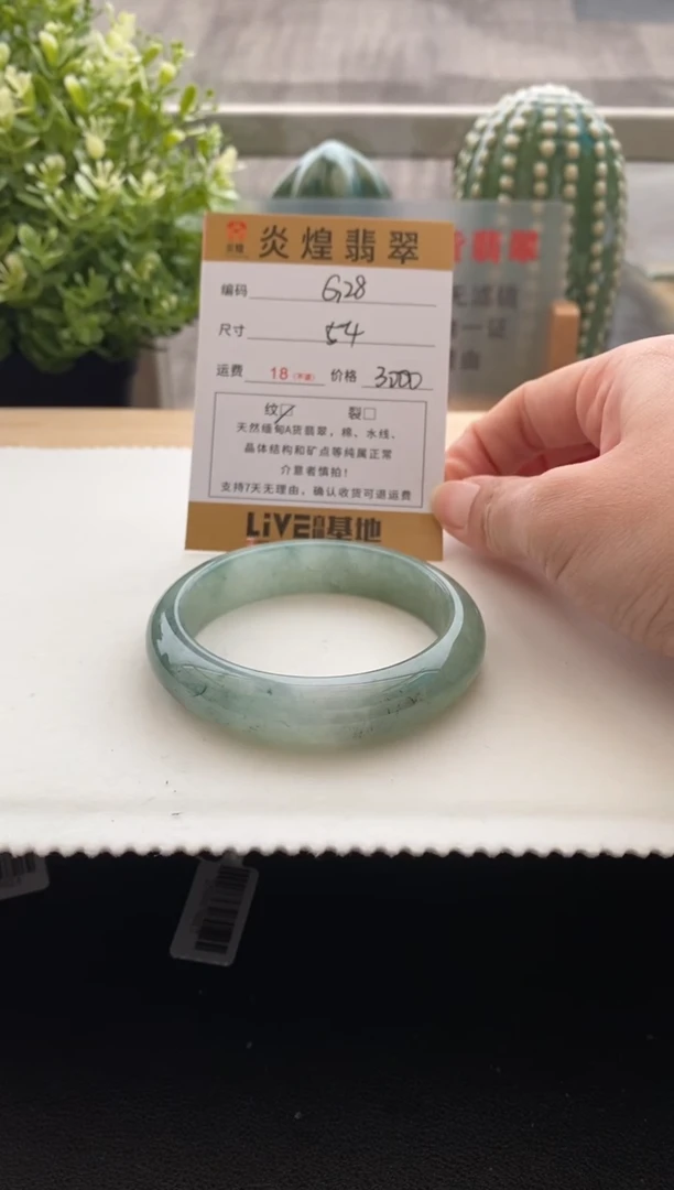 未镶嵌手镯翡翠圈口54 编码g28