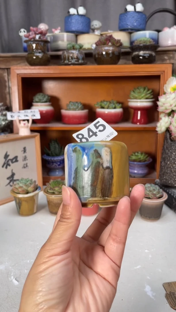 瓷片845小芳直播编号