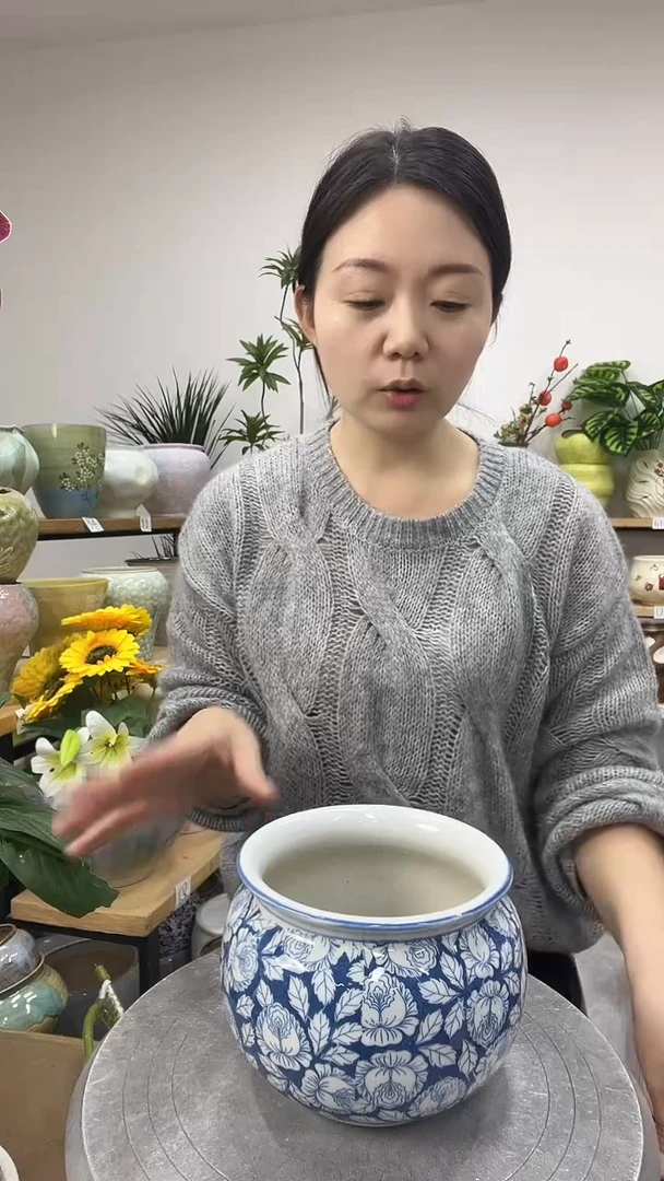 11.10陶瓷花盆直播链接高.12     口12