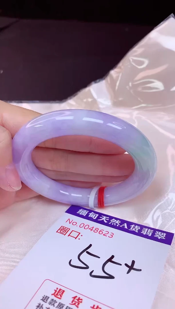 未镶嵌手镯翡翠55