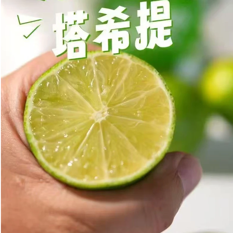 【一袋】[N]无籽塔西提柠檬 份/1袋 仅限太原晋中吕梁忻州可拍