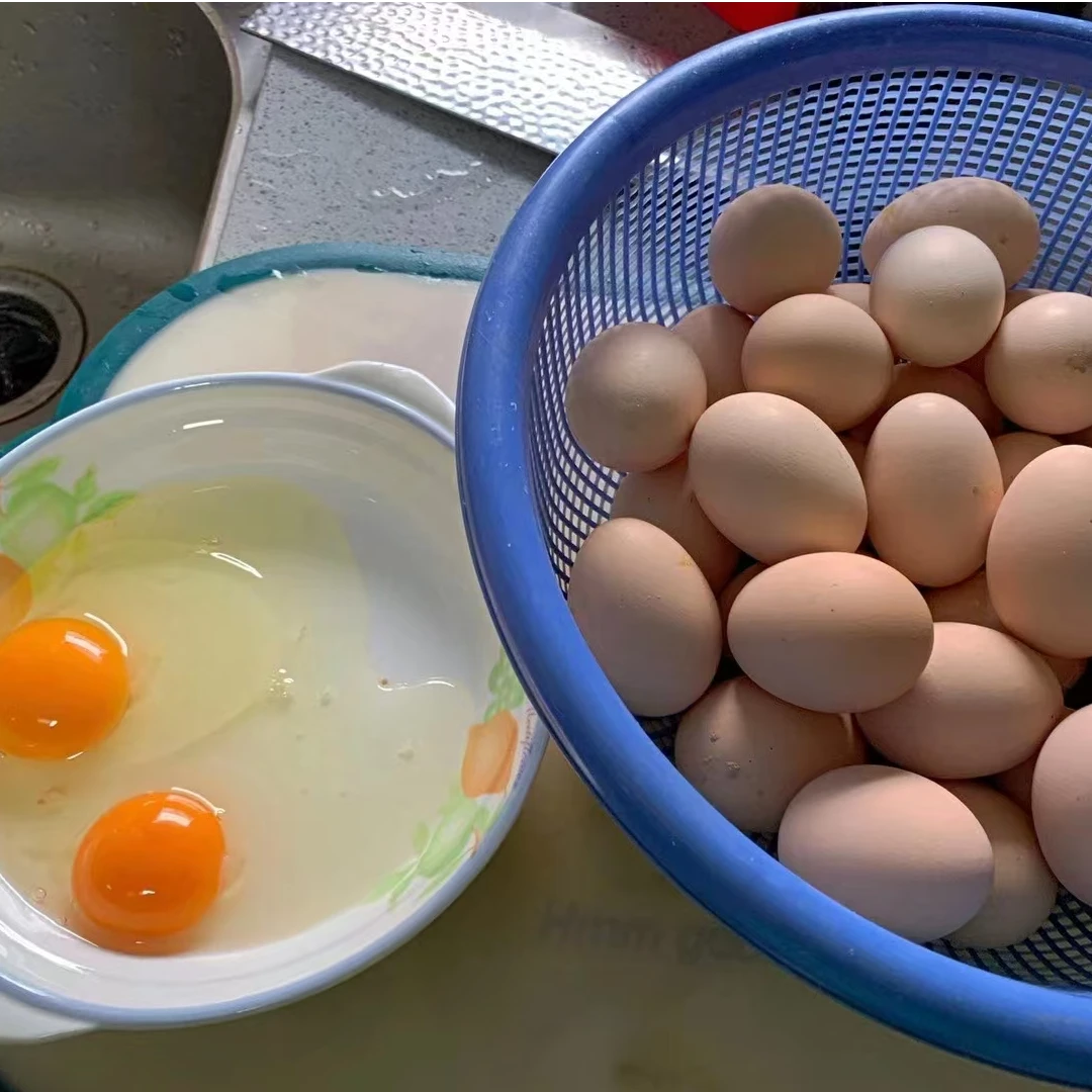 农家生态散养土鸡蛋