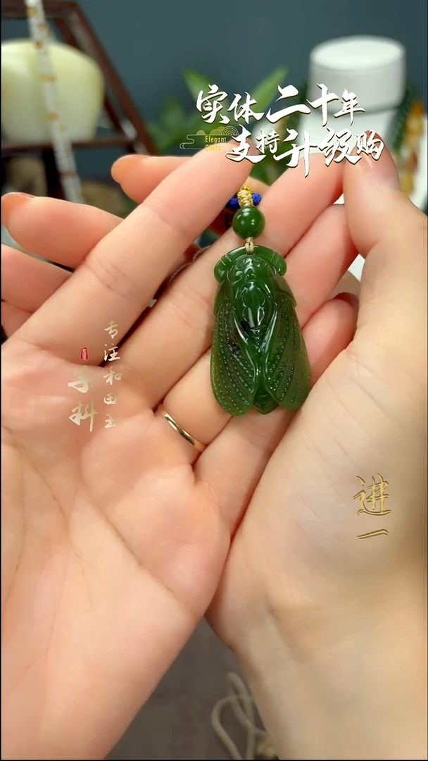 颈饰未镶嵌和田玉碧玉蝉挂件