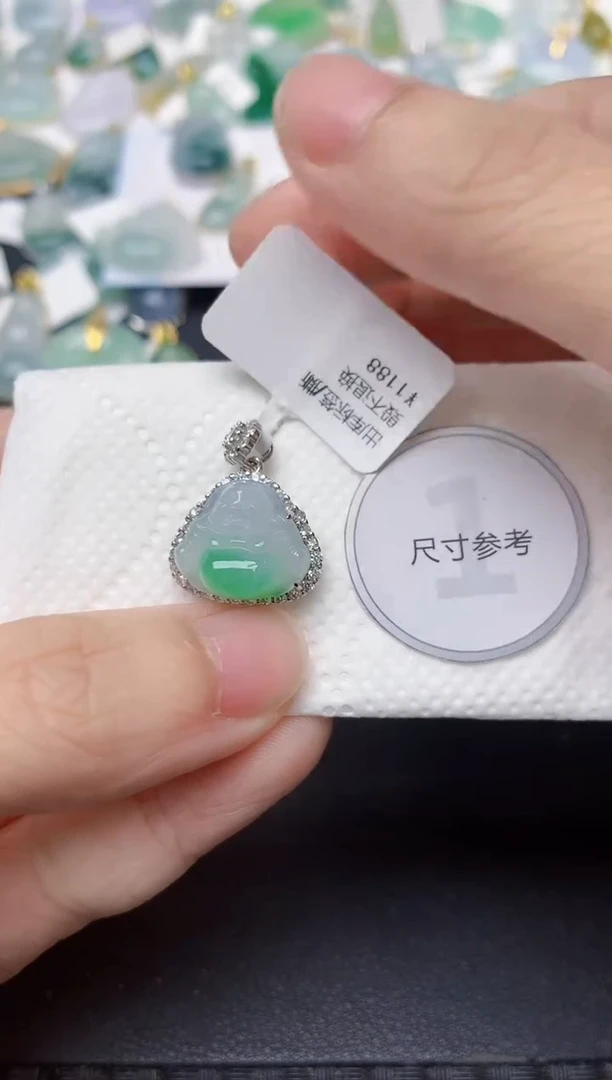 颈饰未镶嵌翡翠天然缅甸A货翡翠