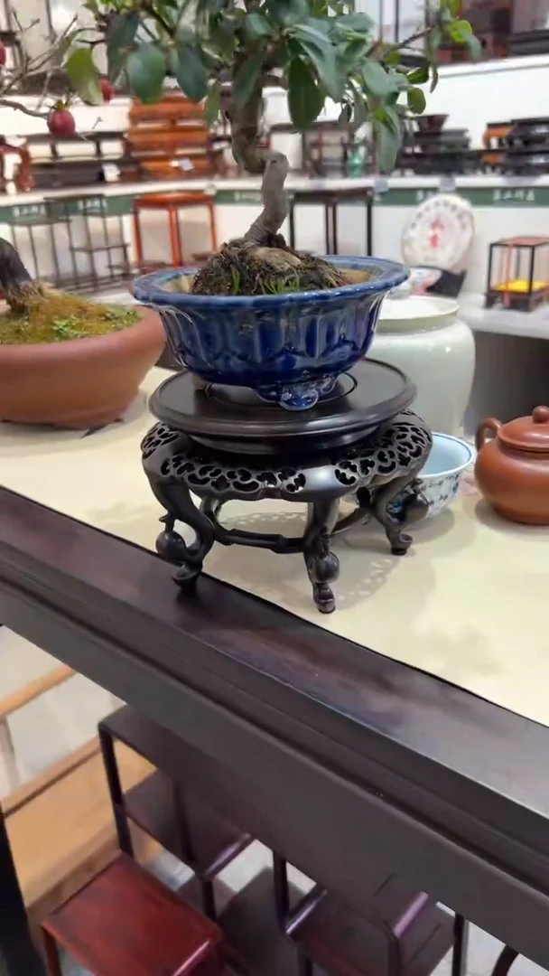 【闪购商品】紫砂1紫砂紫砂紫砂紫砂紫砂1