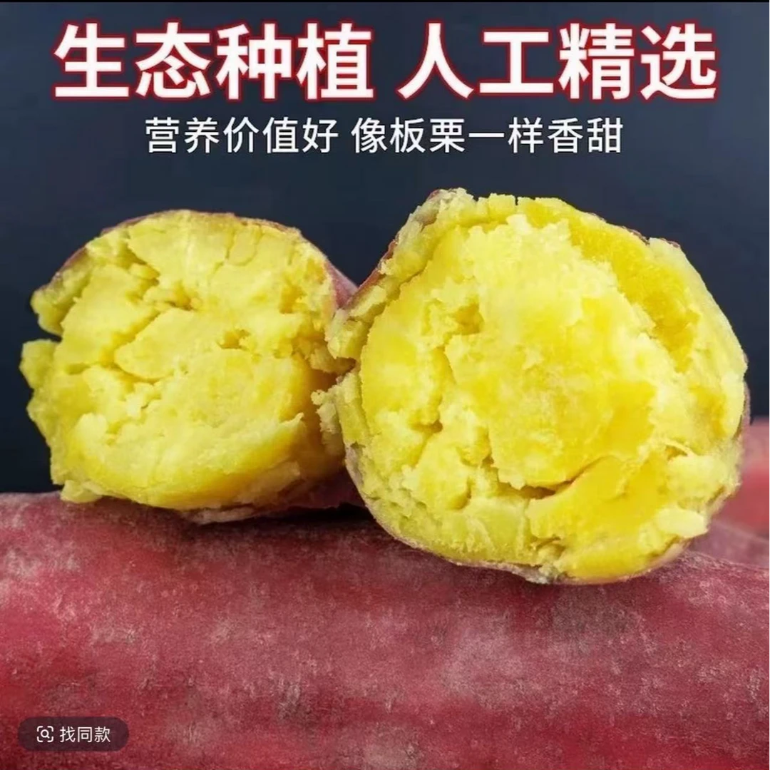 正宗黄心蜜薯板栗红薯新鲜现挖沙地种植糖心软糯香甜5斤红薯