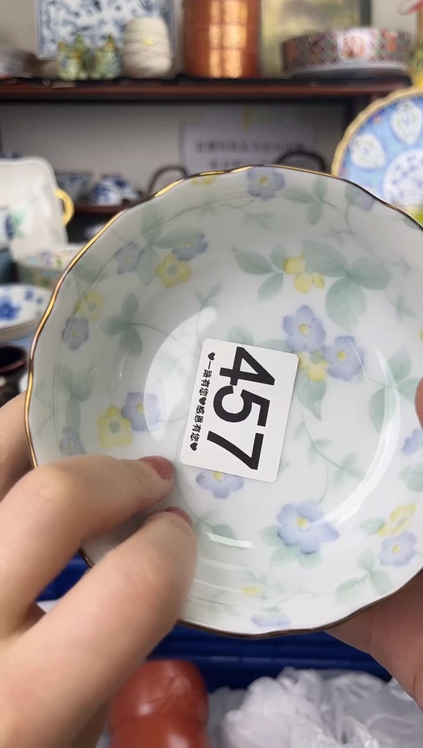 瓷片457..............
