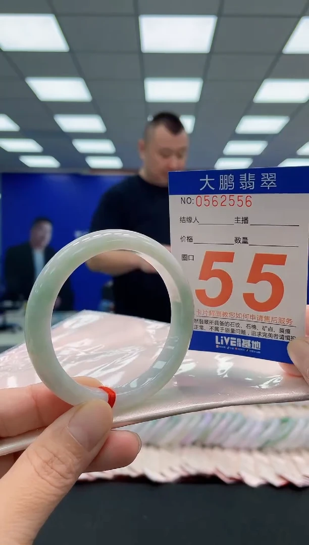 未镶嵌手镯翡翠AAAAAAAAA