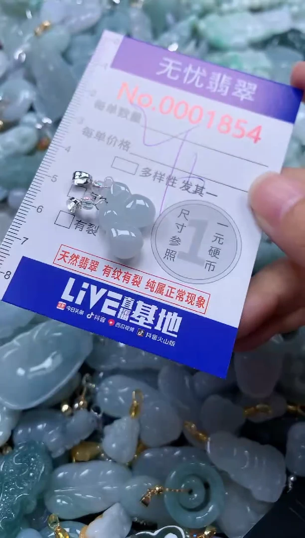 颈饰未镶嵌翡翠1854