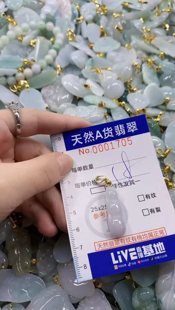 颈饰未镶嵌翡翠天然A货翡翠