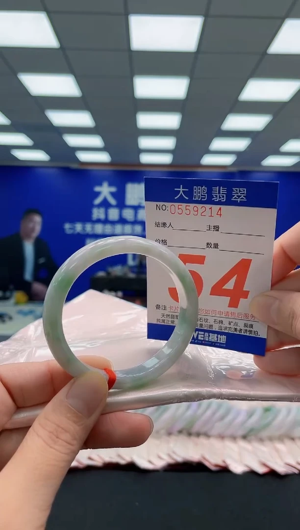 未镶嵌手镯翡翠AAAAAAAAA
