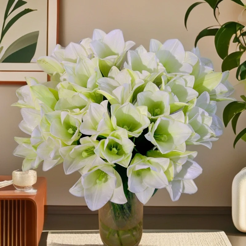 【小阿阮】白色铁炮 A级 小众香水百合 水养鲜切花办公室送礼