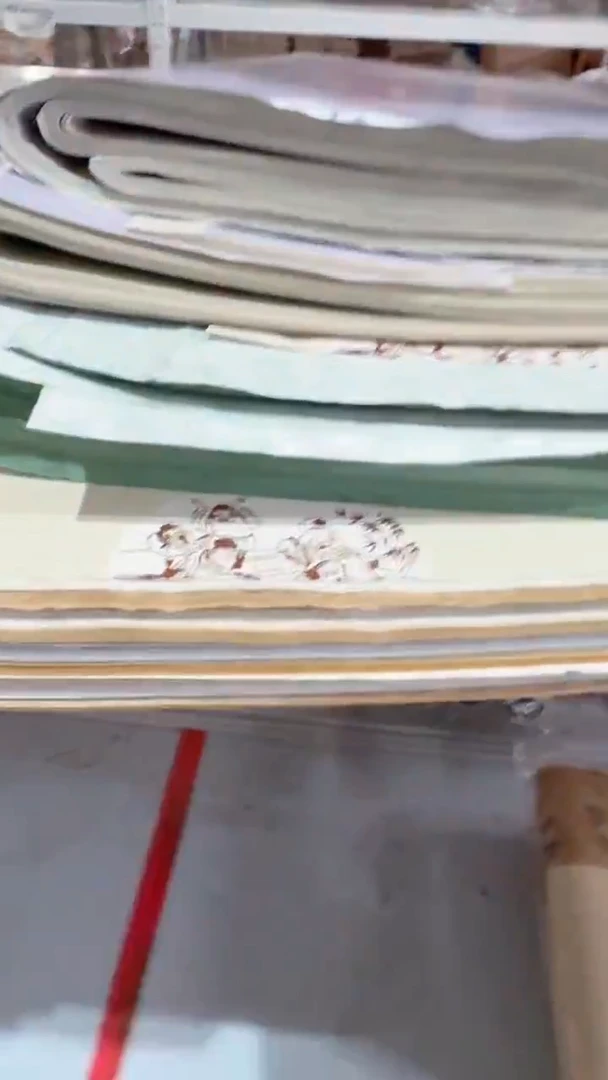 各尺寸魏晋风骨堆堆处理 微瑕 4份一组