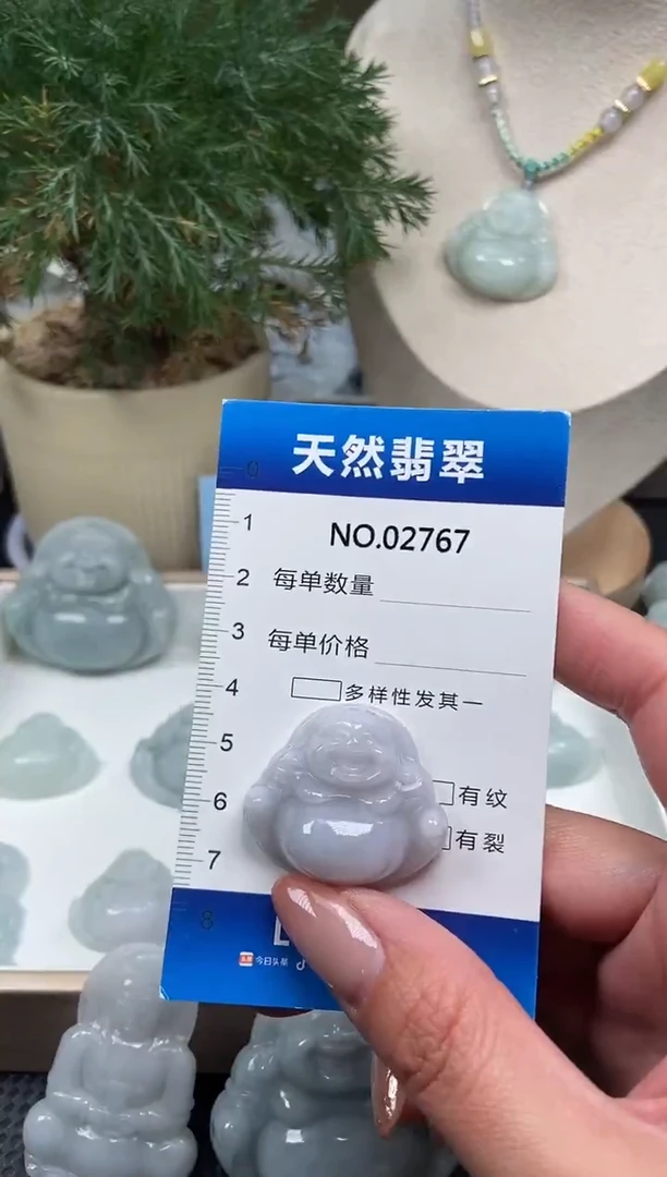 颈饰未镶嵌翡翠纯天然A货翡翠2767