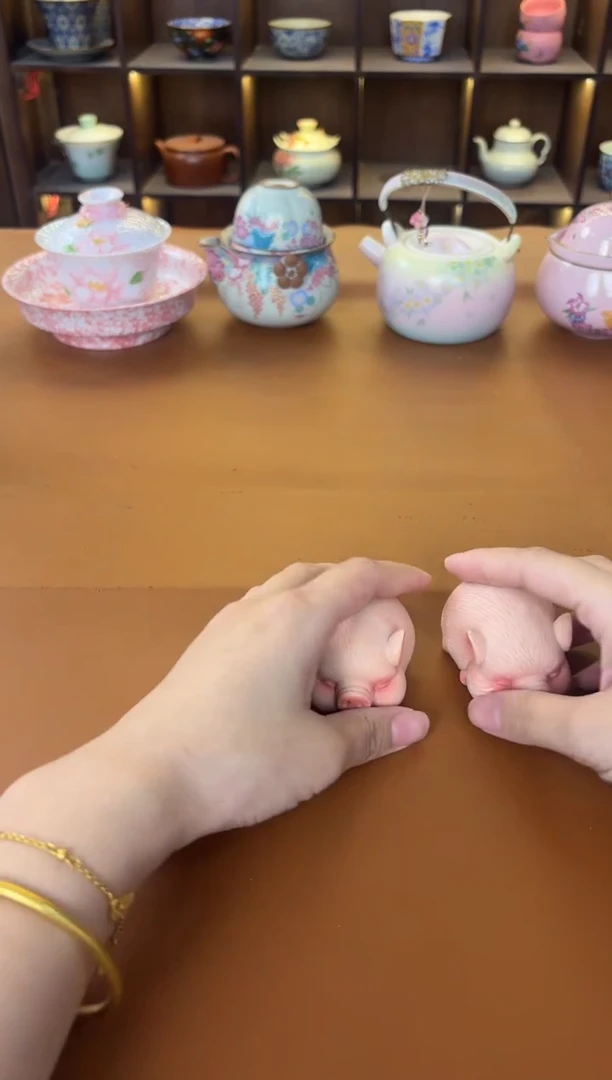 @@@@@@@@@@@不带礼盒