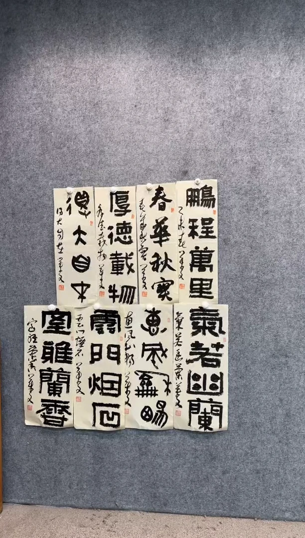 【闪购商品】书法pmw不二轩旗舰店书法QYW2