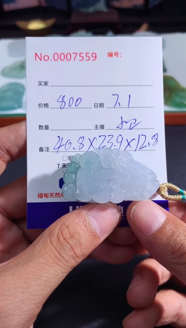 翡翠未镶嵌颈饰貔貅