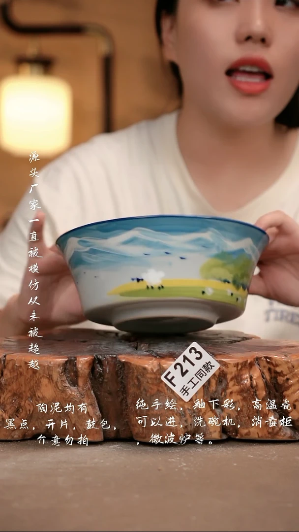 其他F213 新十二器