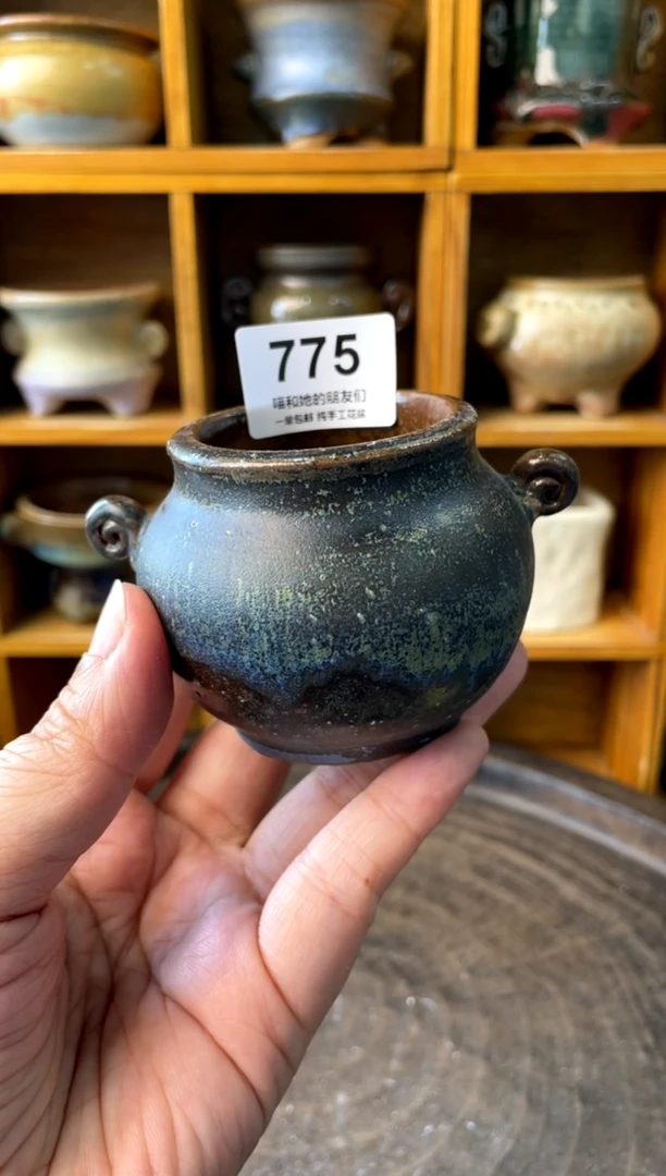 775【多肉花盆多肉盆】