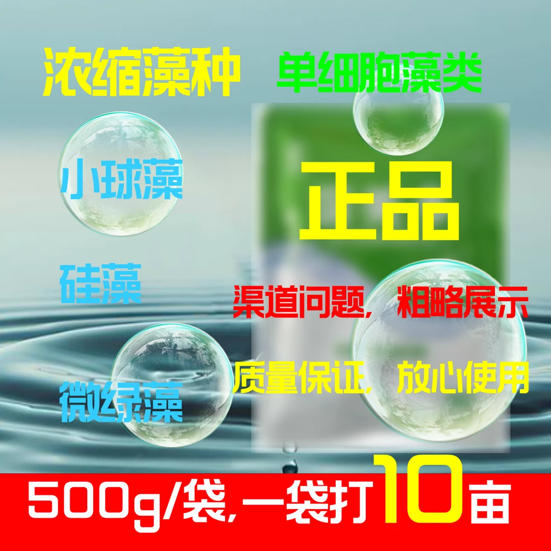 浓缩藻种快速肥水小球藻硅藻小型藻类藻种