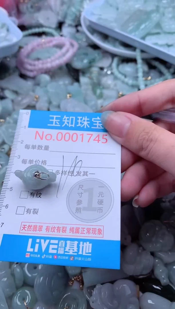 翡翠未镶嵌吊坠(不含链)1745