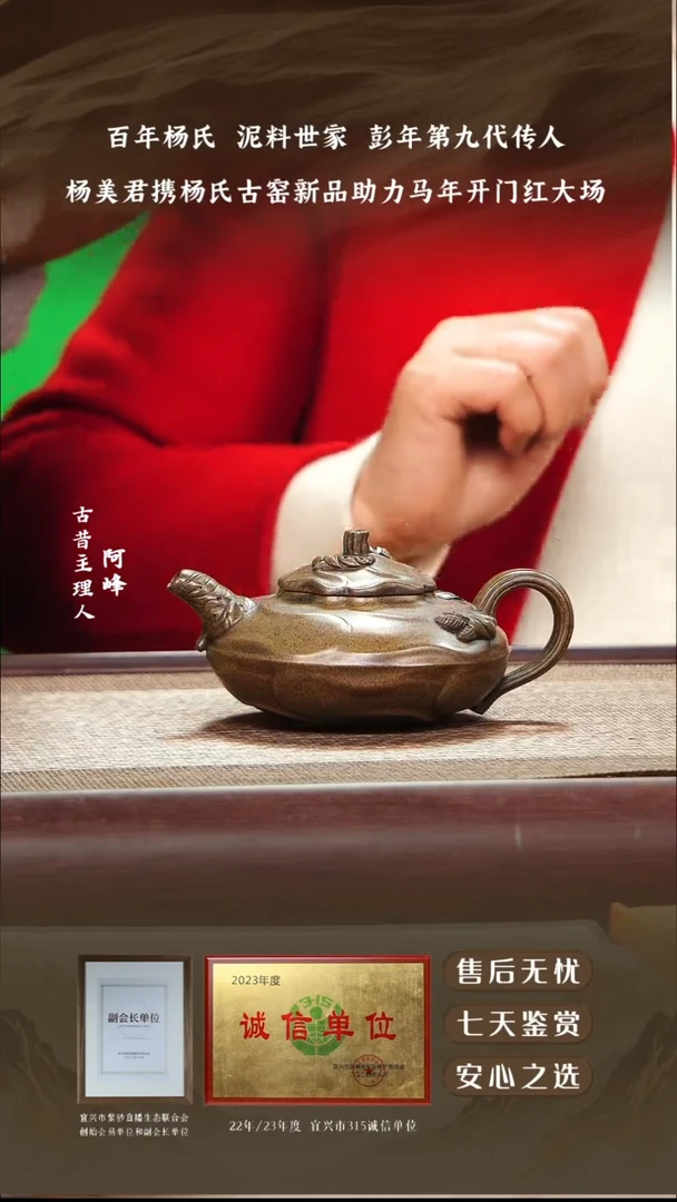 杨美君虎皮金砂风卷葵240cc