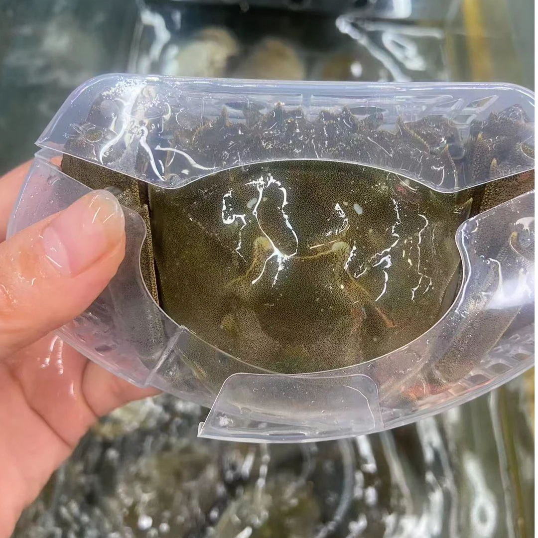 兴化大闸蟹母（2.5两/只）