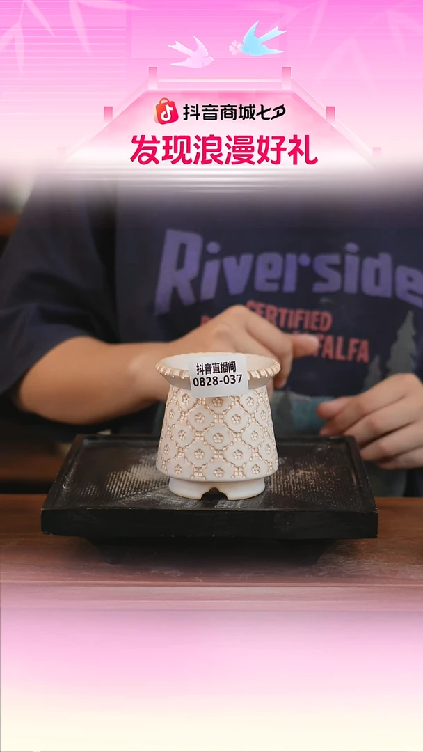 0828-037A桑尼群 内口5一只