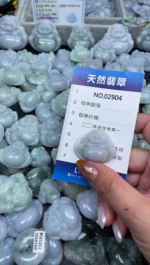 颈饰未镶嵌翡翠纯天然A货翡翠2904