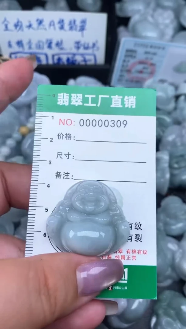 翡翠未镶嵌颈饰缅甸天然A货翡翠0309
