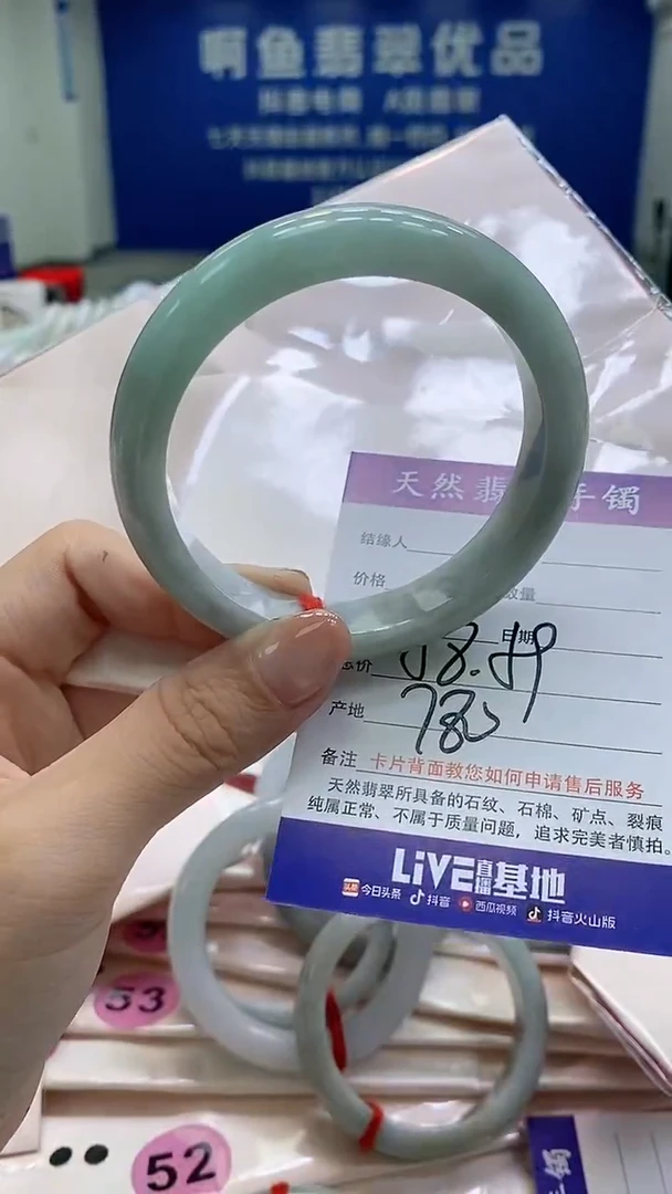 未镶嵌手镯翡翠0041
