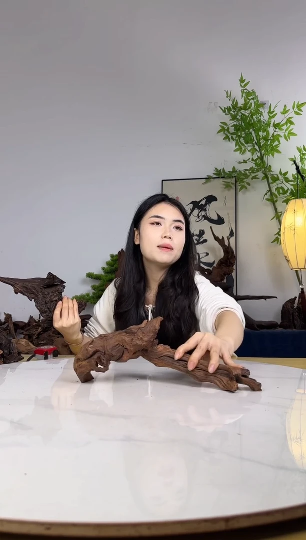 冇*拍沉木定向链接编号62