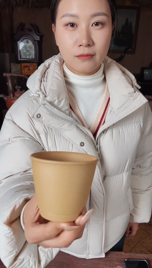 【闪购商品】紫砂茶壶001紫砂紫砂紫砂