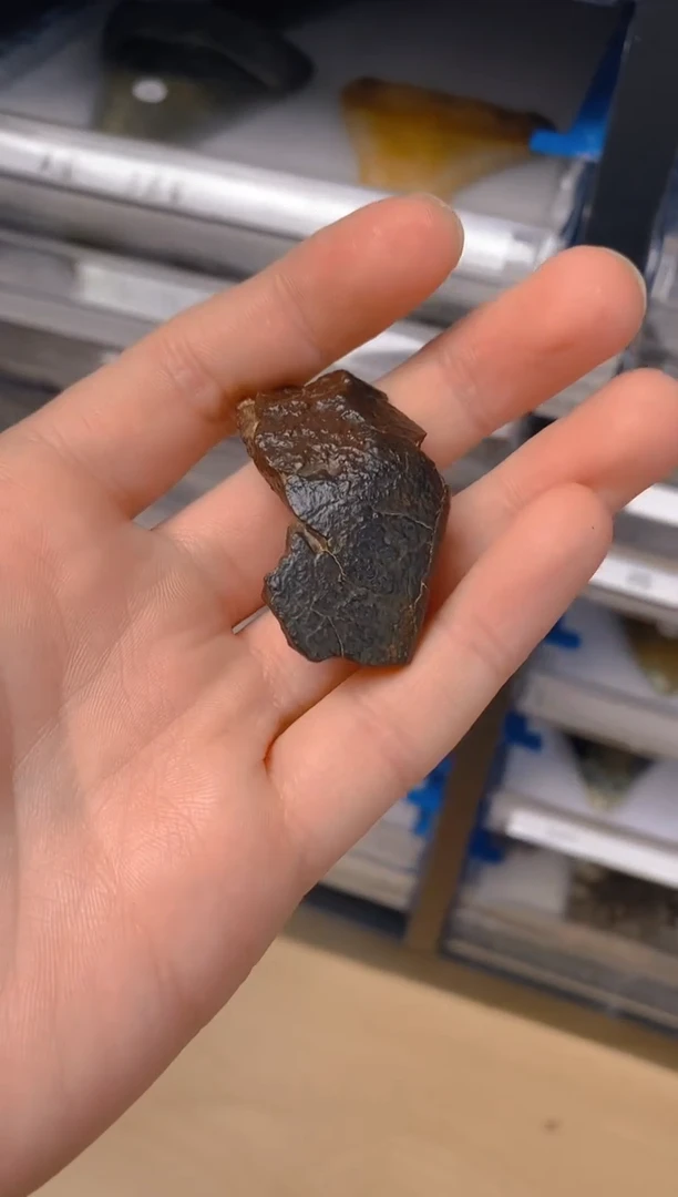 有机玻璃壹**壹666666666666666666666666666666