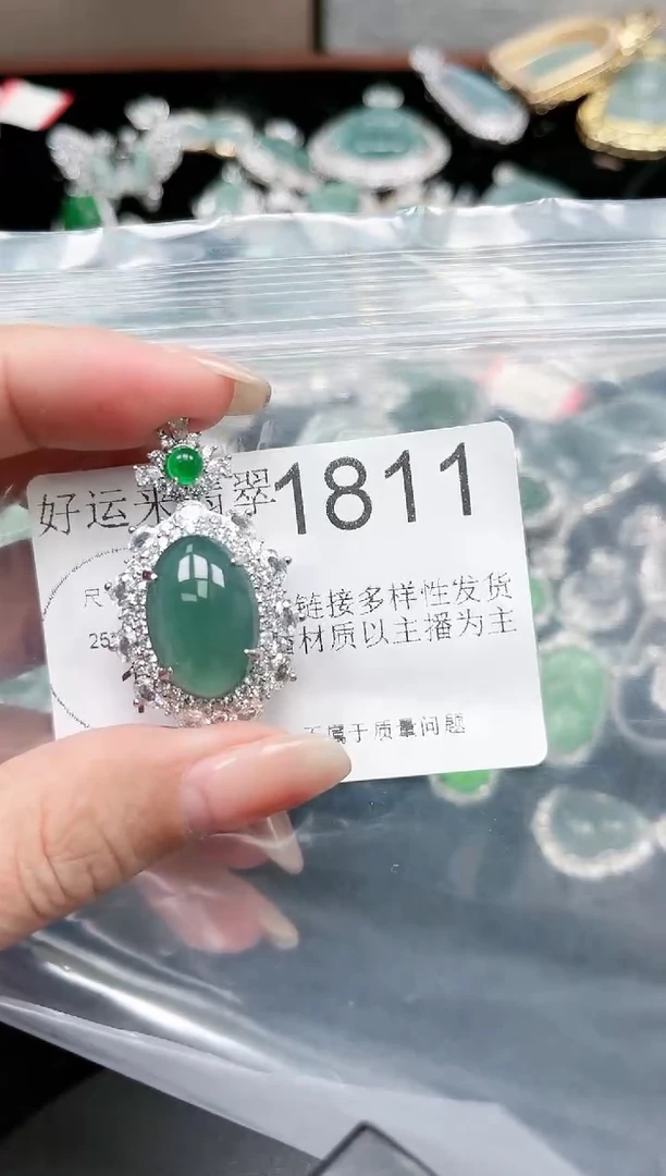 【闪购商品】翡翠颈饰未镶嵌1811赠皮绳