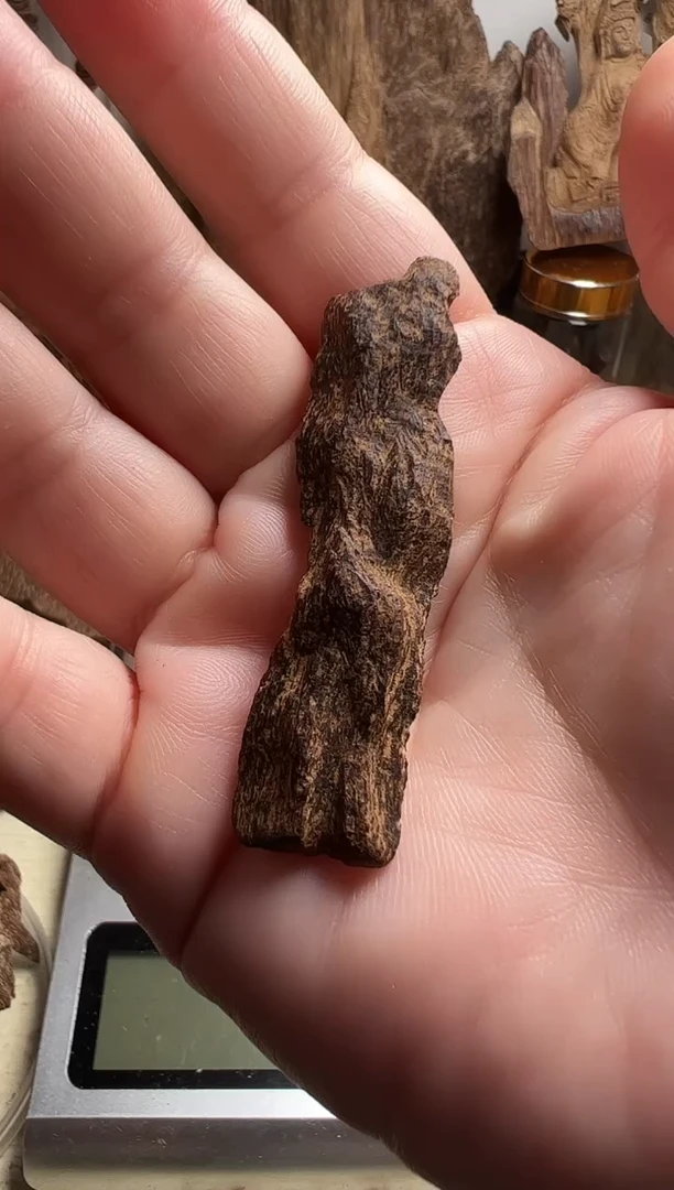 沉香沉香碎屑斯里兰卡沉香沉水料2.7克