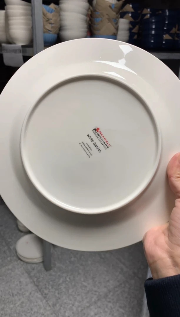 瓷片陶瓷尾单CC087有瑕2个9英寸