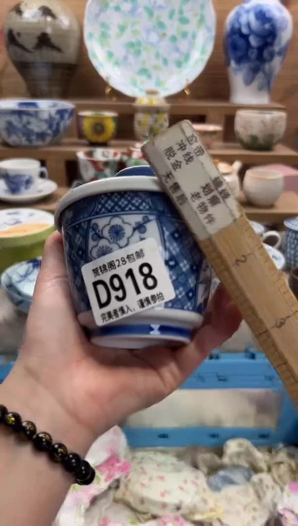 瓷片雪      D918