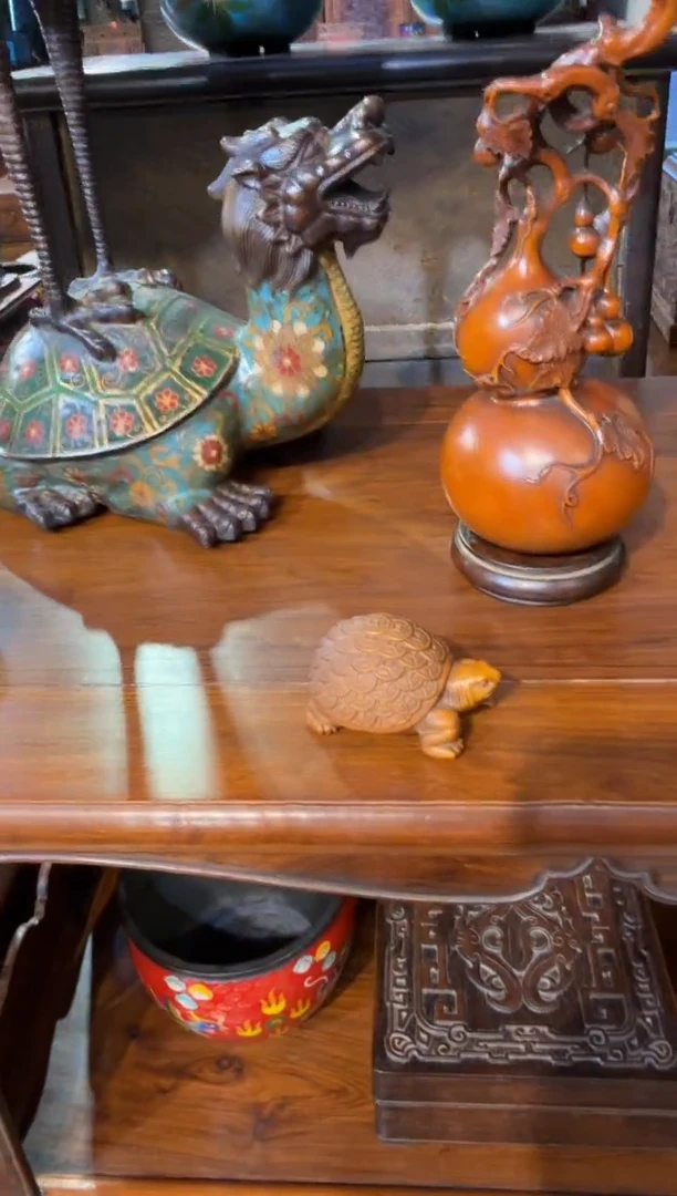 木黄杨木金钱龟68.888888