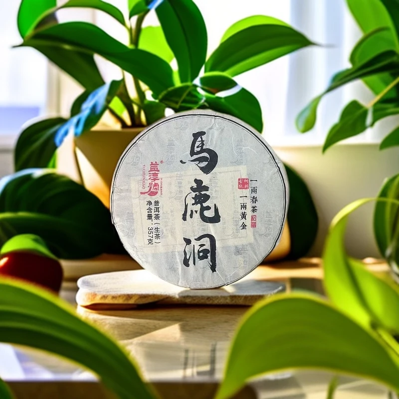 益淳号-马鹿洞 普洱茶 生茶 357克 2023年
