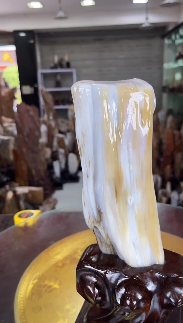 硅化玉珠宝奇石未镶嵌缅甸天然树化玉