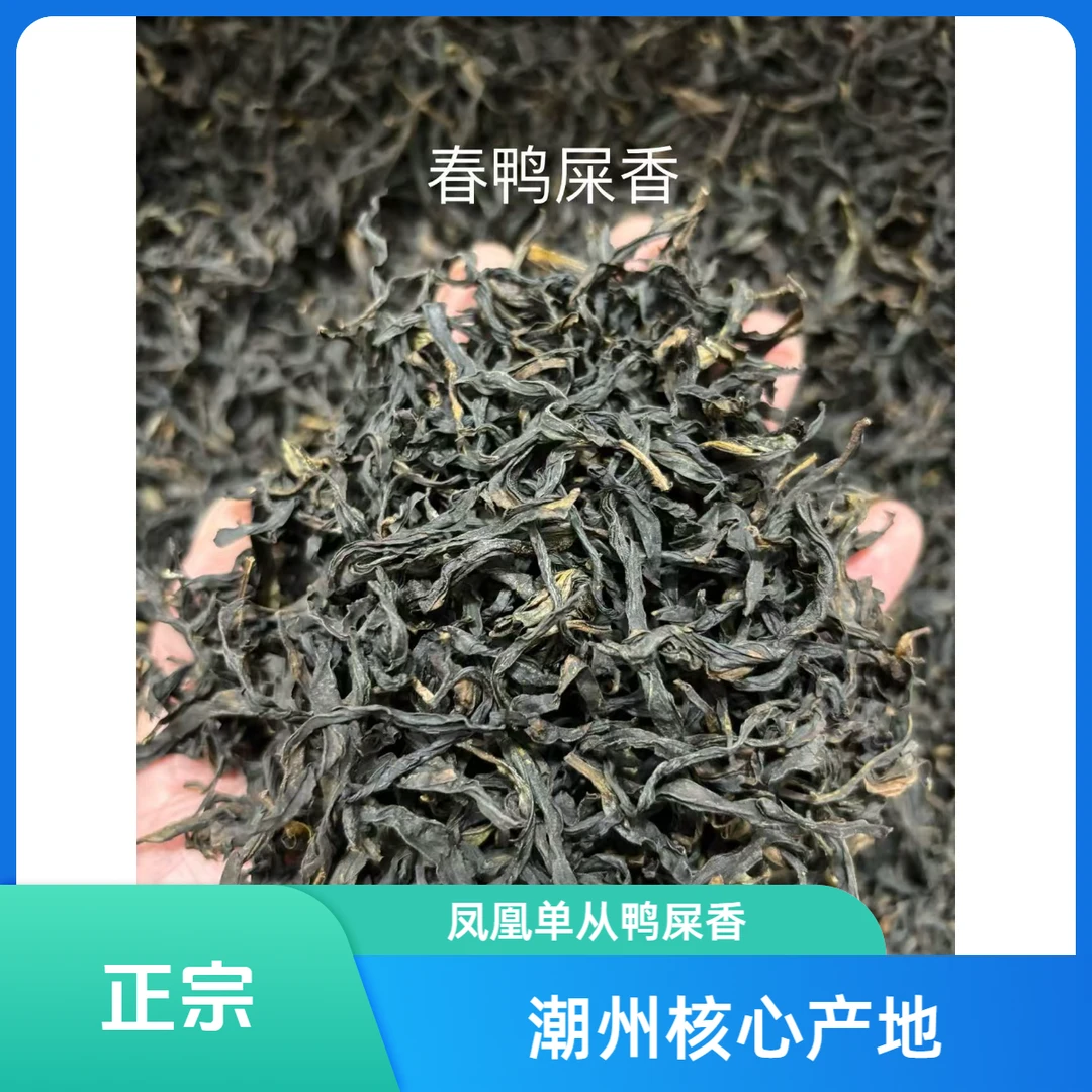2025明前春鸭屎香，潮州核心产区，正宗鸭屎香