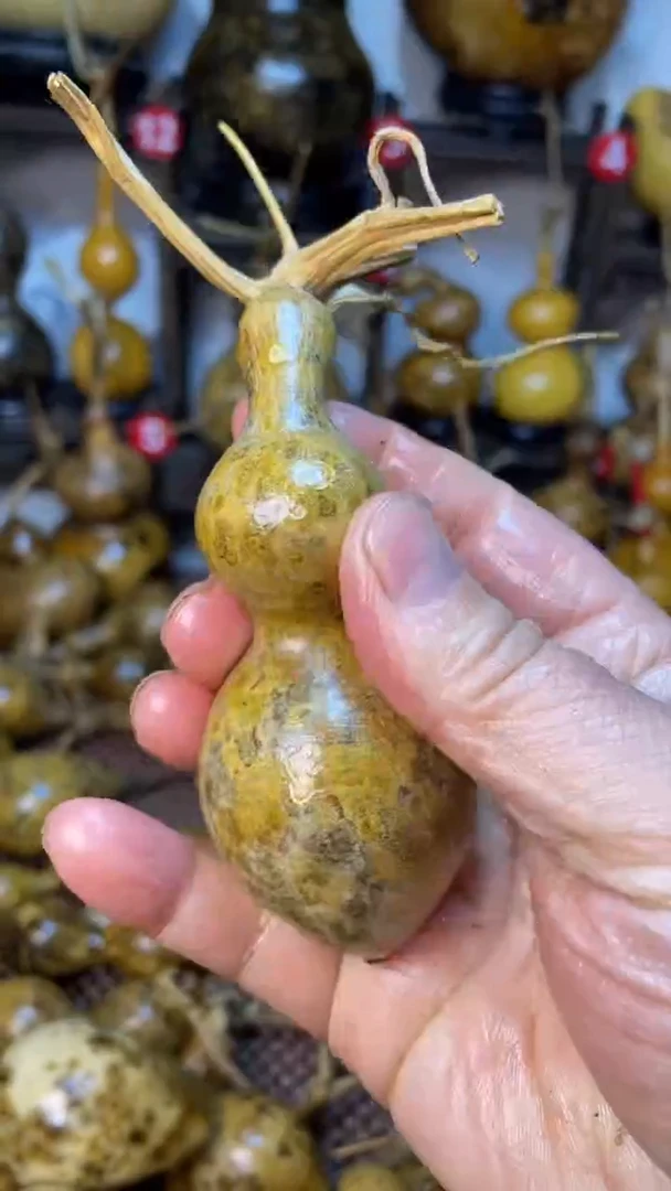 【闪购商品】葫芦葫芦葫芦葫芦葫芦