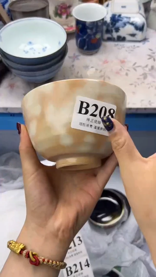 瓷片          B208